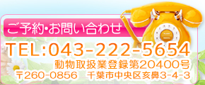 お問い合わせはお気軽に！！