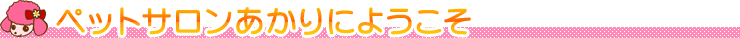 ペットサロンあかりにようこそ★